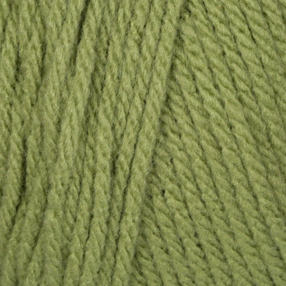 Bernat Super Value Yarn - Discontinued Shades Fern