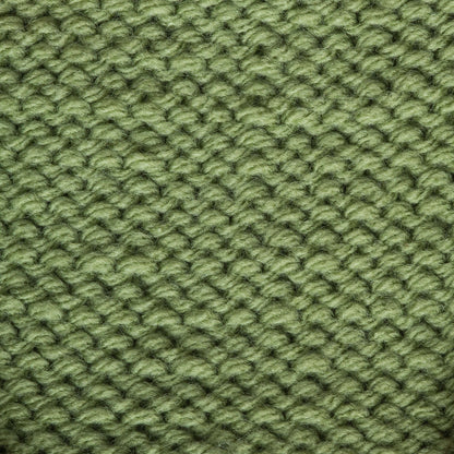 Bernat Super Value Yarn - Discontinued Shades Fern