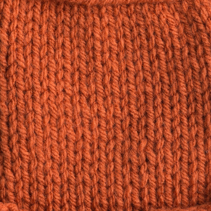 Bernat Super Value Yarn - Discontinued Shades Pumpkin