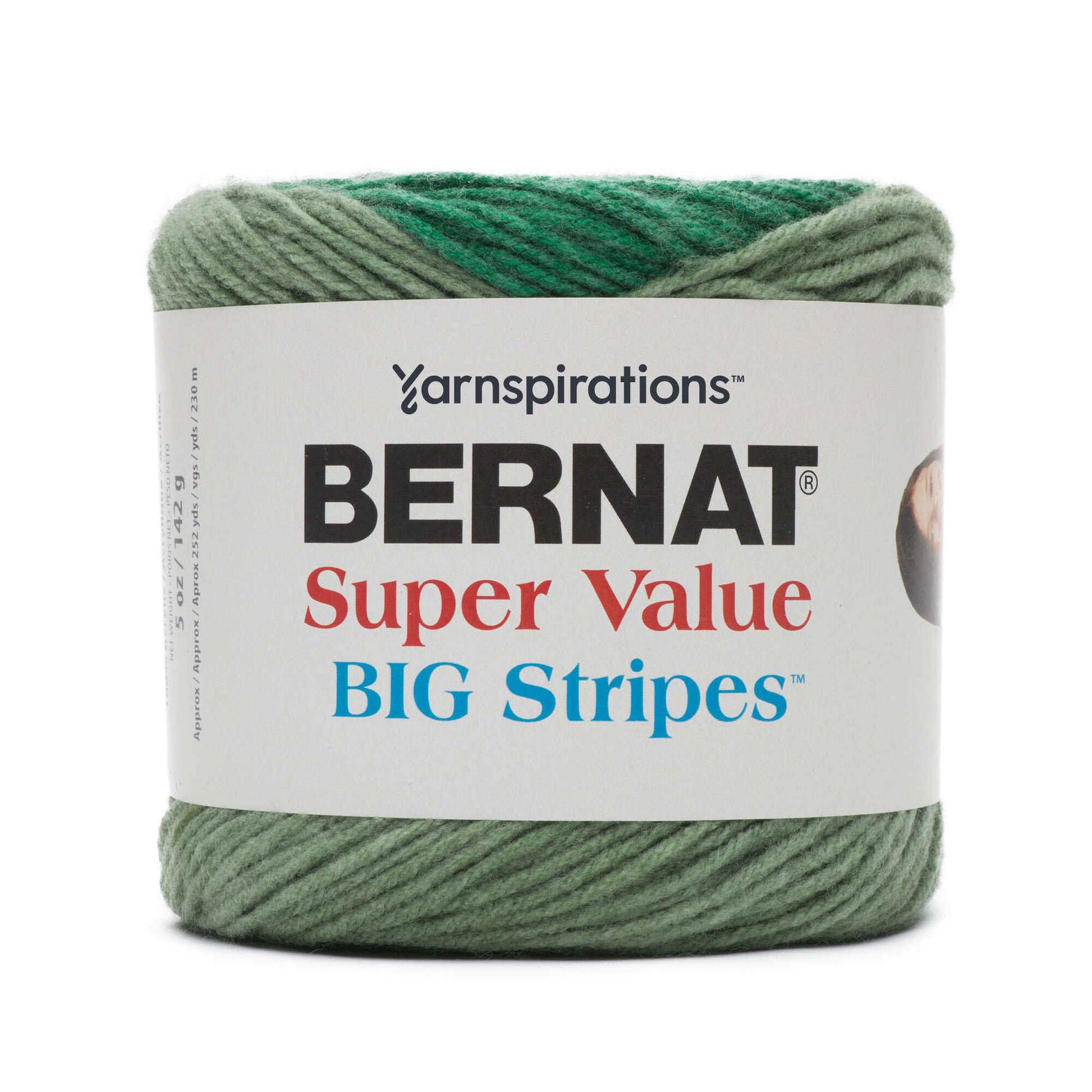 Bernat Super Value Big Stripes Yarn - Discontinued Shades Cactus Field