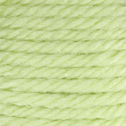 Bernat Satin Yarn - Discontinued Shades Soft Fern