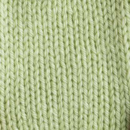 Bernat Satin Yarn - Discontinued Shades Soft Fern