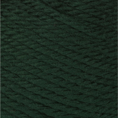 Bernat Satin Yarn - Discontinued Shades Forest Pine