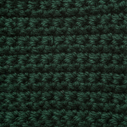 Bernat Satin Yarn - Discontinued Shades Forest Pine