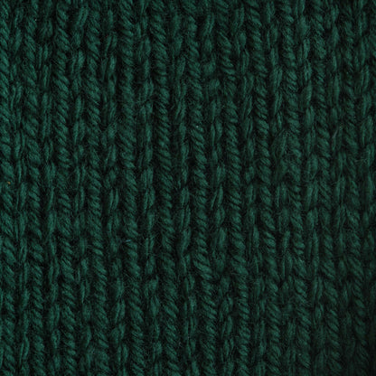 Bernat Satin Yarn - Discontinued Shades Forest Pine
