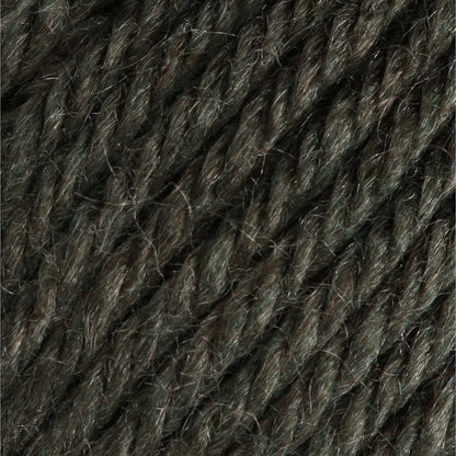 Bernat Satin Yarn - Discontinued Shades Forest Mist Heather