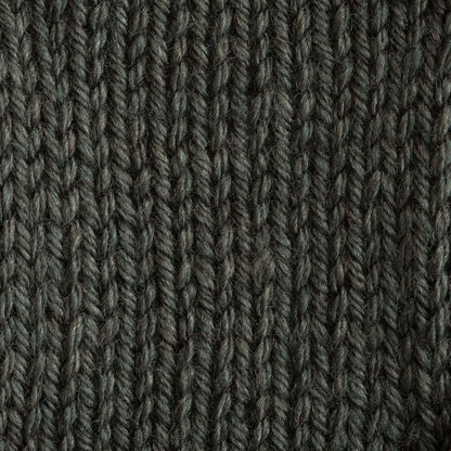 Bernat Satin Yarn - Discontinued Shades Forest Mist Heather