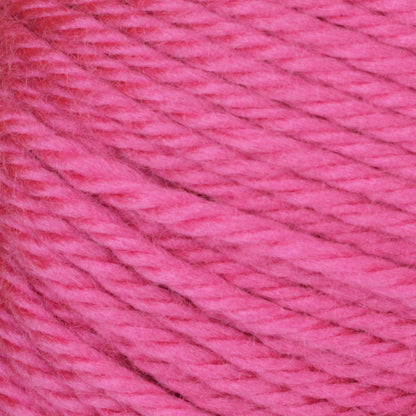 Bernat Satin Yarn - Discontinued Shades Maitai