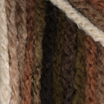 Bernat Super Value Variegates Yarn - Discontinued Shades Outback Ombre