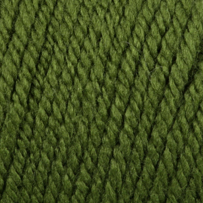 Bernat Premium Yarn - Discontinued Shades Rich Green