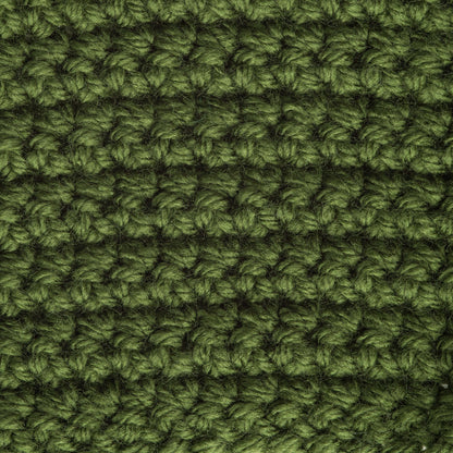Bernat Premium Yarn - Discontinued Shades Rich Green