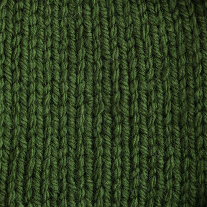 Bernat Premium Yarn - Discontinued Shades Rich Green