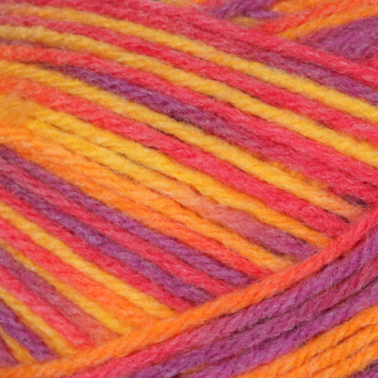 Bernat Sox Yarn - Discontinued Shades Sari