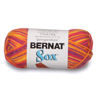 Bernat Sox Yarn - Discontinued Shades Sari