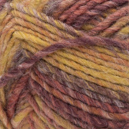 Bernat Symphony Yarn Autumn Maple