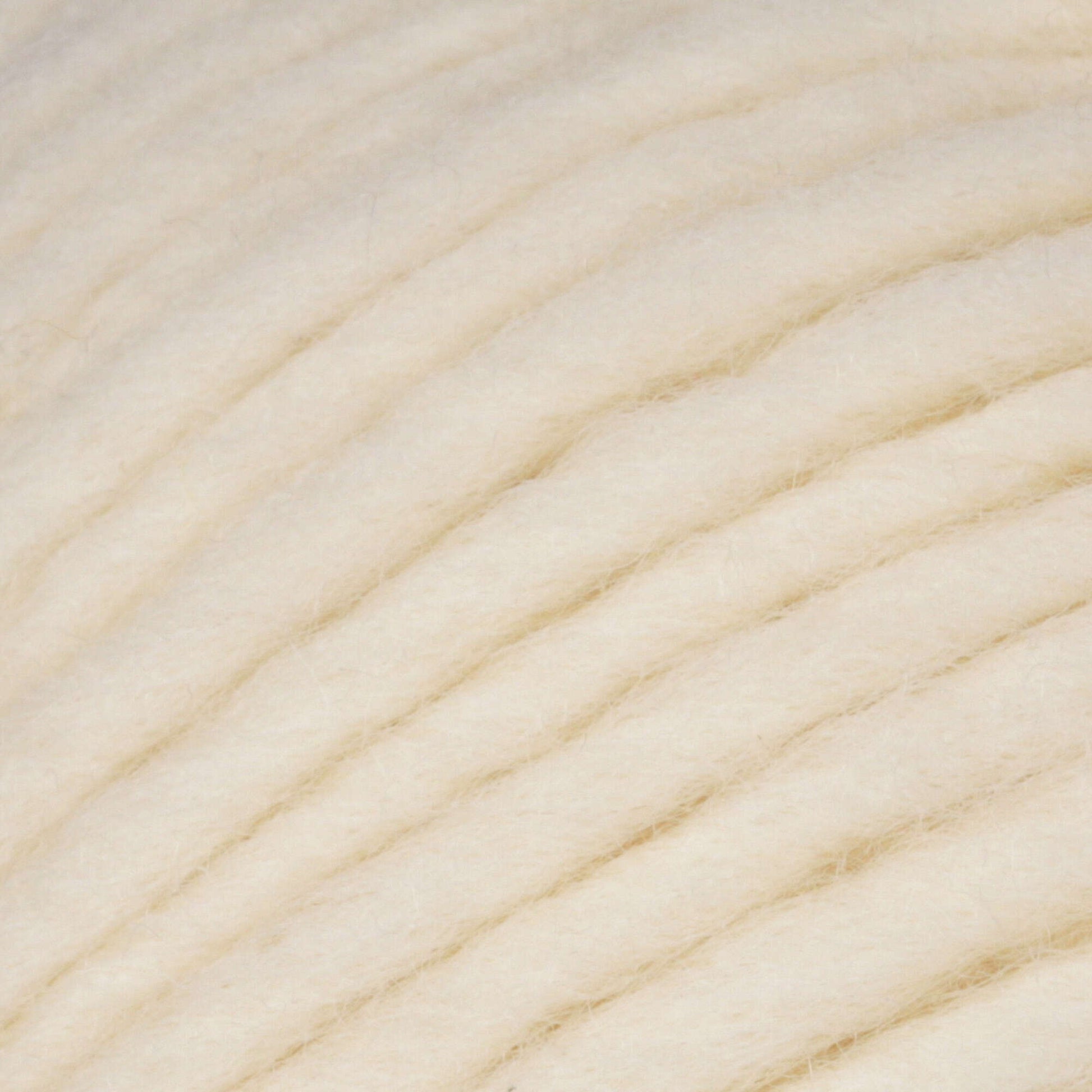 Patons Classic Wool Roving Yarn | Yarnspirations