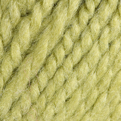 Patons Shetland Chunky Yarn - Discontinued Shades Leaf Green