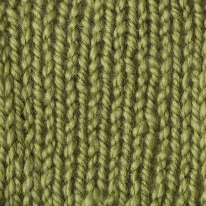 Patons Shetland Chunky Yarn - Discontinued Shades Leaf Green