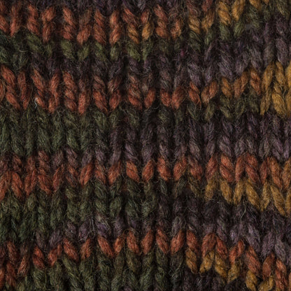 Patons Shetland Chunky Yarn - Discontinued Shades Harvest Variegated