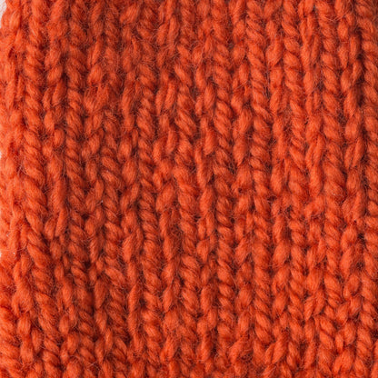 Patons Shetland Chunky Yarn - Discontinued Shades Fiesta