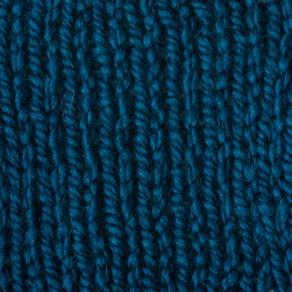 Patons Shetland Chunky Yarn - Discontinued Shades Mallard
