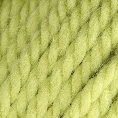 Patons Classic Wool Bulky Yarn - Discontinued Shades Spring Green