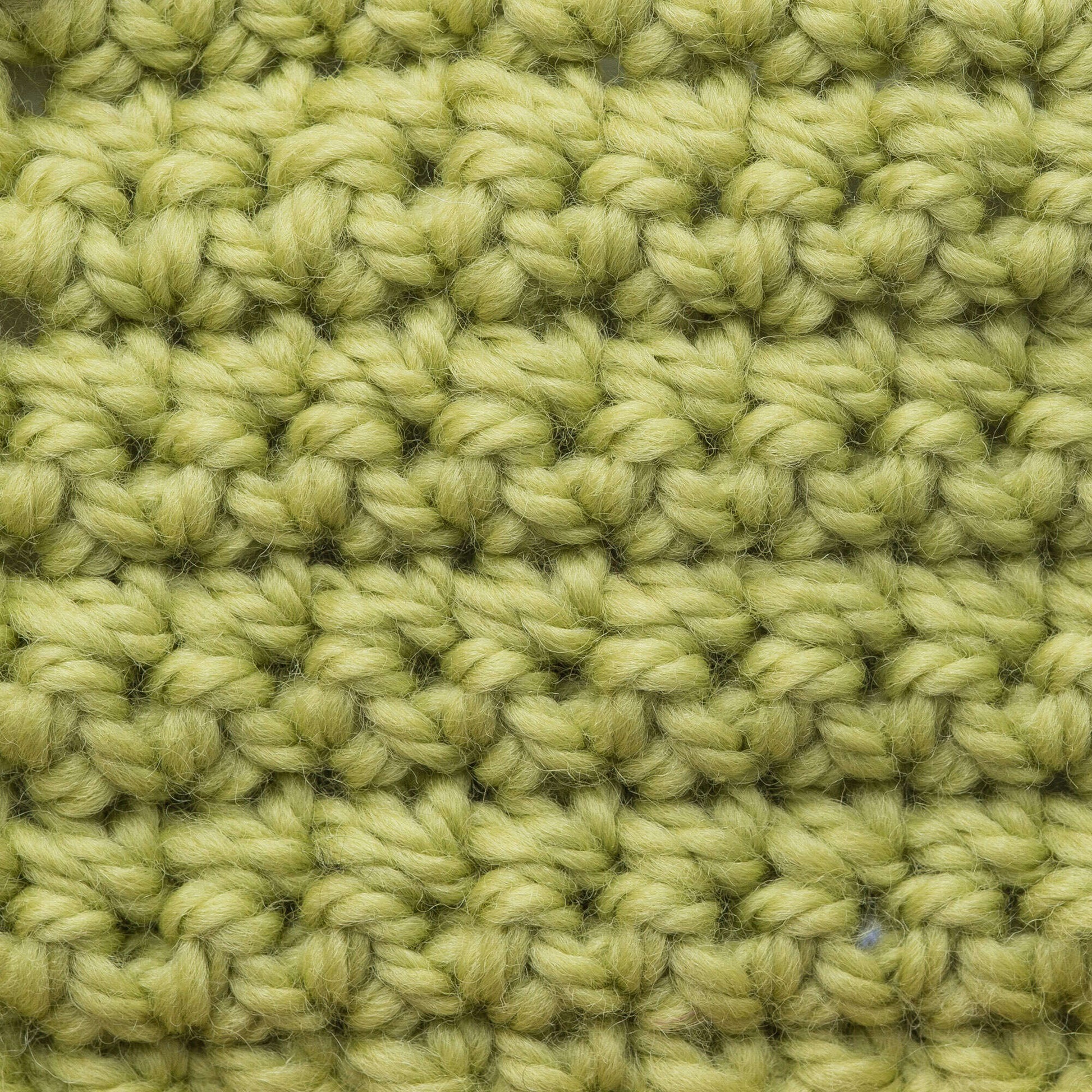 Patons Classic Wool Bulky Yarn - Discontinued Shades Spring Green