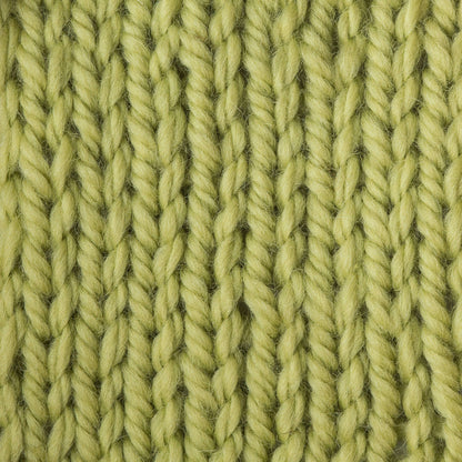 Patons Classic Wool Bulky Yarn - Discontinued Shades Spring Green