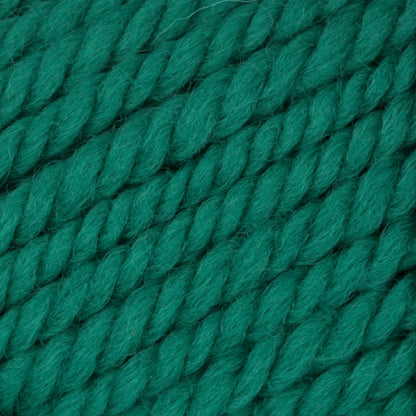 Patons Classic Wool Bulky Yarn - Discontinued Shades Emerald