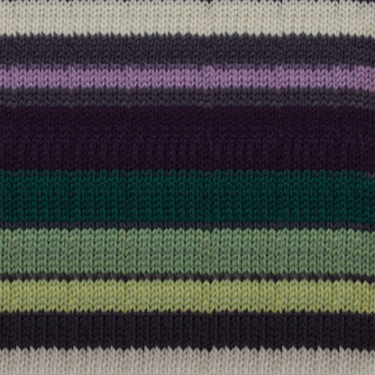 Patons Kroy Socks Yarn - Discontinued Shades Bramble Stripes