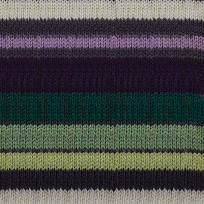Patons Kroy Socks Yarn - Discontinued Shades Bramble Stripes