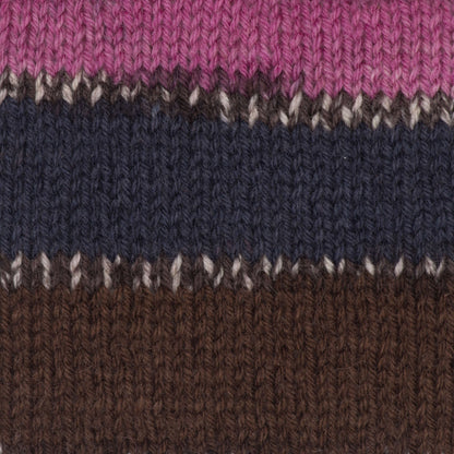 Patons Kroy Socks Yarn - Discontinued Shades Mulberry Stripes
