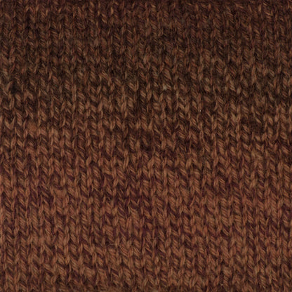 Patons Kroy Socks FX Yarn Copper Colors