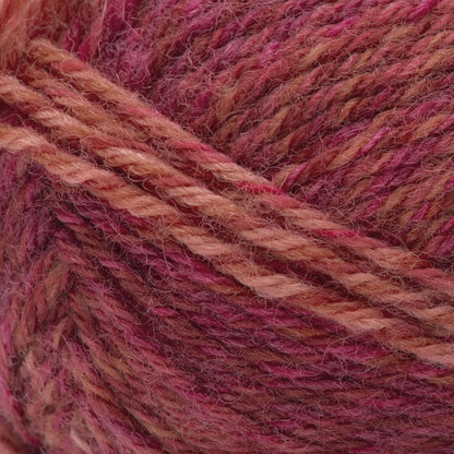 Patons Kroy Socks FX Yarn Geranium Colors