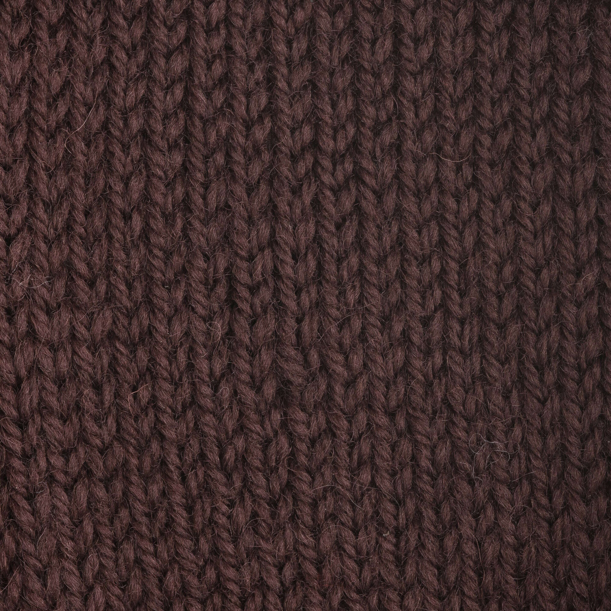 Patons Classic Wool Worsted Yarn - Discontinued Shades Chestnut Brown