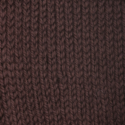 Patons Classic Wool Worsted Yarn - Discontinued Shades Chestnut Brown