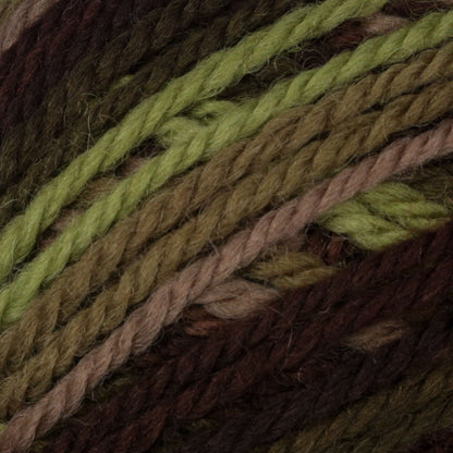 Patons Classic Wool Worsted Yarn - Discontinued Shades Forest