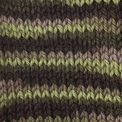 Patons Classic Wool Worsted Yarn - Discontinued Shades Forest