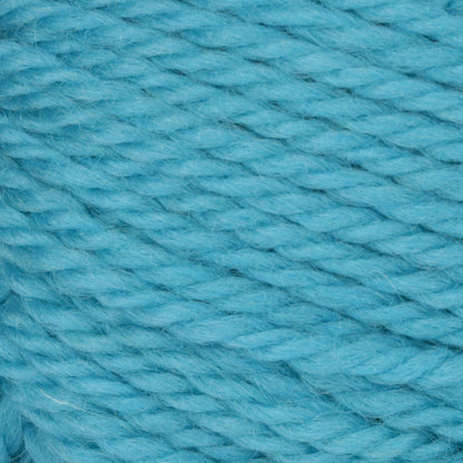 Patons Classic Wool Worsted Yarn - Discontinued Shades Aquarium