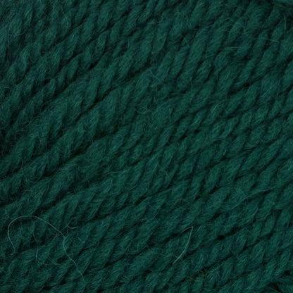 Patons Classic Wool Worsted Yarn - Discontinued Shades Evergreen
