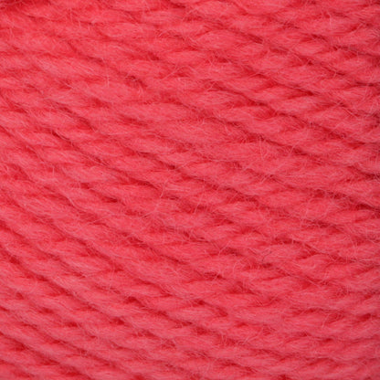 Patons Classic Wool Worsted Yarn - Discontinued Shades Coral