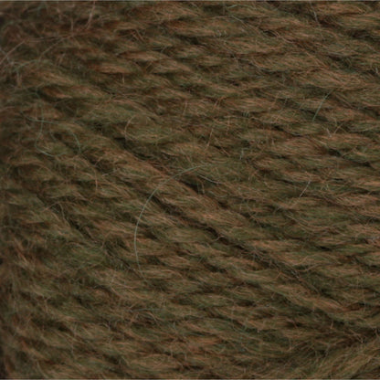 Patons Classic Wool Worsted Yarn - Discontinued Shades Moss Heather