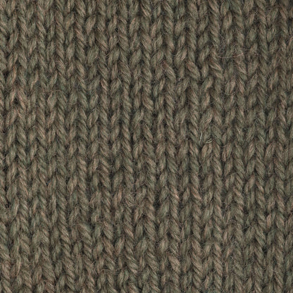 Patons Classic Wool Worsted Yarn - Discontinued Shades Moss Heather