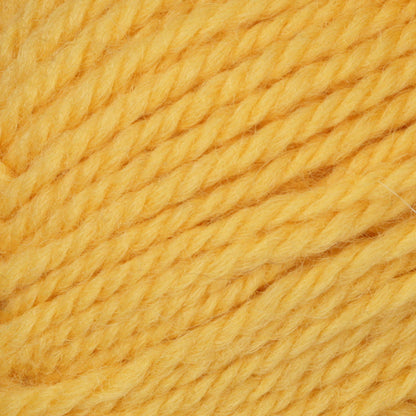 Patons Classic Wool Worsted Yarn - Discontinued Shades Sunset Gold