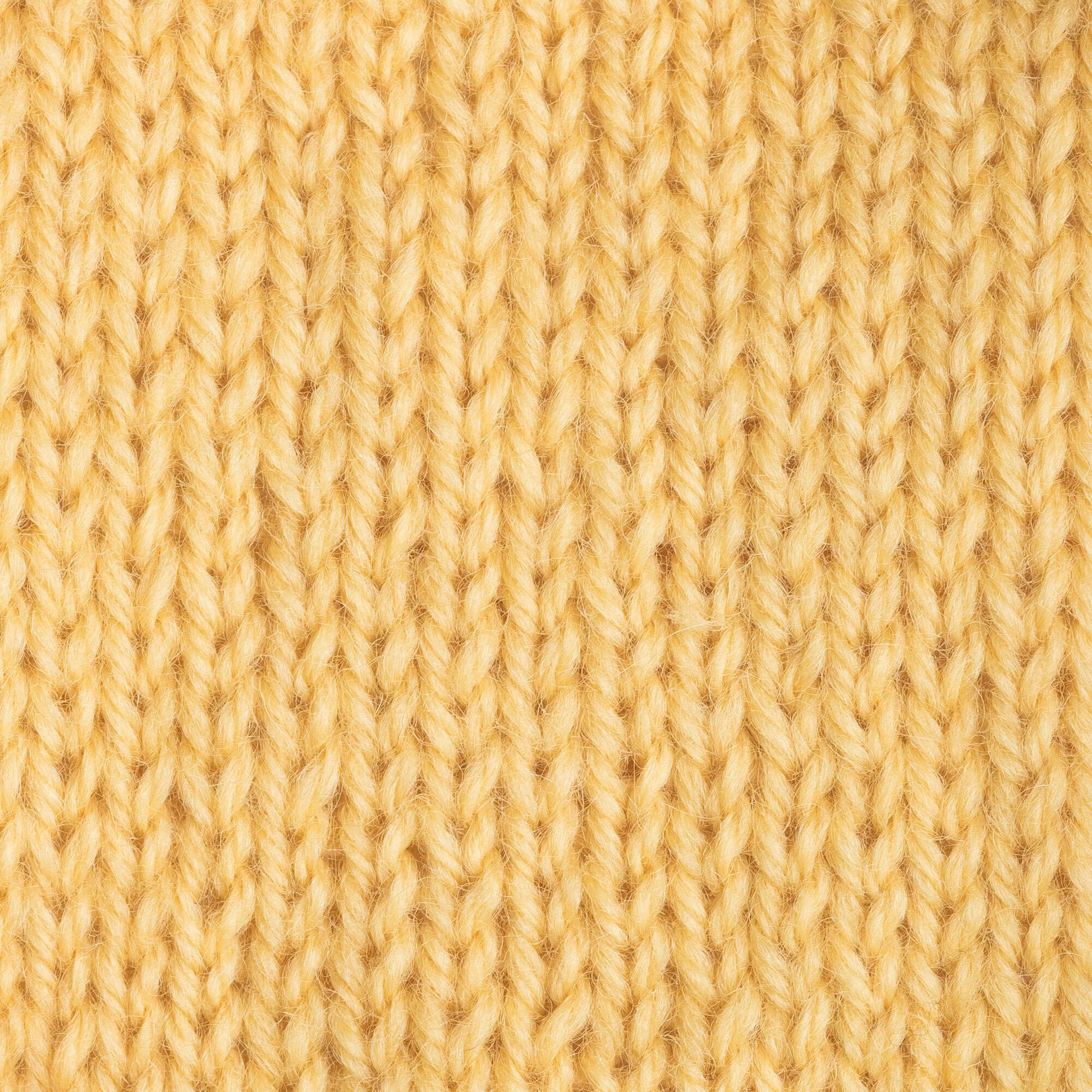 Patons Classic Wool Worsted Yarn - Discontinued Shades Sunset Gold