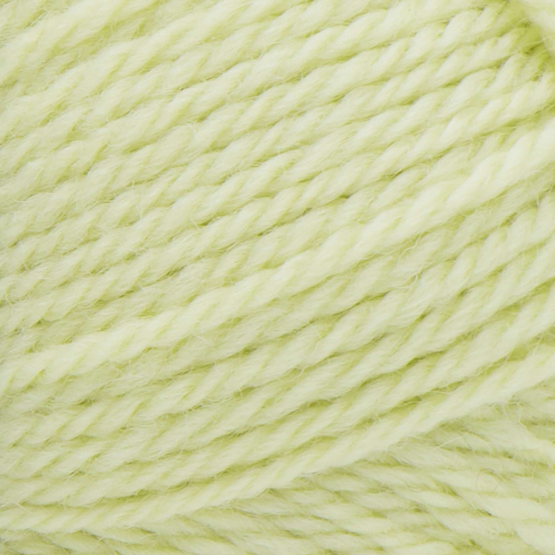 Patons Classic Wool Worsted Yarn Soft Sprout