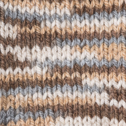 Patons Decor Yarn - Discontinued Shades Woodbine Variegated