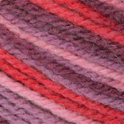 Patons Decor Yarn - Discontinued Shades Florals Variegated