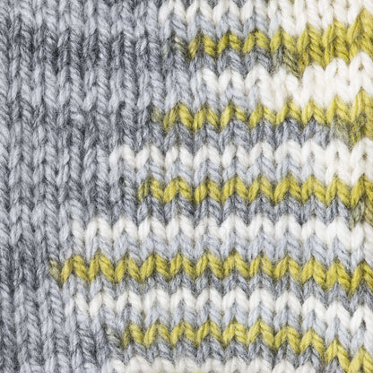 Patons Decor Yarn - Discontinued Shades Frond Variegated