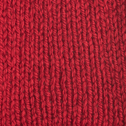 Patons Decor Yarn - Discontinued Shades Barn Red